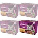 WHISKAS JUNIOR HYDINA DELICIOUS RELÉ 48x85g