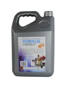 GLYCOL HYDROGLYC MEGA BLUE C.O. -80*C 5L