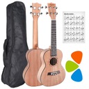 DREVENÁ SOPRÁNOVÁ UKULELE NA NAUČENIE SA HRAŤ 5 FARIEB + OBAL + AKORDY