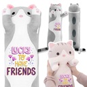 Teddy Bear maskot Long Cat Grey MAJTE PRIATEĽOV Vzory