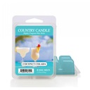 Vosk s vôňou Coconut Colada Country Candle