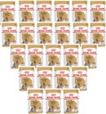 ROYAL CANIN Yorkshire Adult Set 24x 85g