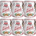 Brit Care Cat Snack Superfruits Lamb 6x100g