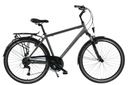 Kands Trekingový 28 bicykel Alfa City M19 graph-gold r22