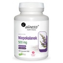 Aliness Niepokalanek 500 mg Vitex agnus 100 kapsúl