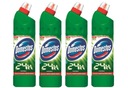 Domestos Pine Fresh WC gélové WC s chlórom 750 ml