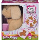 CHI CHI LOVE SALTO PUPPY