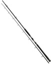 Daiwa sumcový prút Exceler 3,30 200-600g