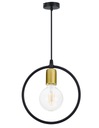 Závesné stropné svietidlo ZWIS Edison Loft 1 E27