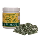 SPIRULINA Aurospirul 500 kapsúl