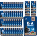 Brit Cat vrecúška PEČEŇ PRE sterilizované 48x100g