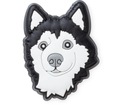 Crocs Jibbitz Pin do topánok psa Husky