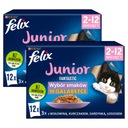 FELIX FANTASTIC Junior Mokré krmivo Kapsičky Kuracie PACK 24x85g