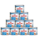 Royal Canin Starter Mousse mokré krmivo pre šteňatá a matky v konzerve 10x195g