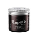 Pomp & Co Pomáda Vodná Pomáda 113g