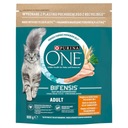 PURINA ONE BIFENSIS DOSPELÝ S KURATOM 800g