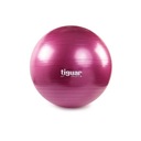 tiguar body ball safety plus 65 cm - slivka