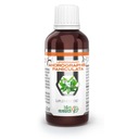 ANDROGRAPHIS PANICULATA lipozomálny extrakt 50 ml