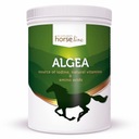 HorseLinePRO Algea 1500 g