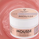 VICTORIA VYN MOUSSE GEL NA STAVANIE NECHTOV 03 CORAL SOFT 15ml 04/2025