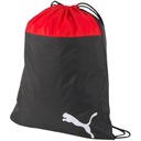 Puma teamGOAL 23 Gym BAG