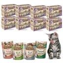 Carnilove Cat Pase Multipack Wet Food for Cat Mix Chutnosti 96x85g (8 ks)