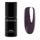 NEONAIL SECRET SPOT HYBRID POLISH 7,2 ML