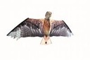 BROOKITE RED KITE KITE