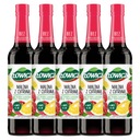 Łowicz Malinový a citrónový ovocný sirup 5x 400ml