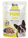 Brit Care Mini vrecko na jahňacinu 12 x 85 g