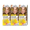 Palette Color Shampoo farbiaci šampón 8-00 Medium Blonde 3 kusy