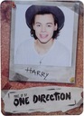 Makeup Kit One Direction Harry Styles