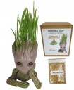 GROOT POT GUARDIANS OF THE GALAXY GRASS pre kat