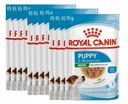 Royal Canin Mini Puppy 12x 85g Junior Puppy