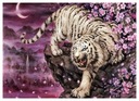 Diamond výšivka diamantov maľba mozaiky tiger na skale 55x75 cm set 5d