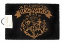 Vnútorná rohožka do topánok Harry Potter Welcome 60x40 cm