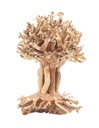 Progrow Bonsai Tree BT7XS 10x10x15cm