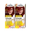 Paleta Color Shampoo 217 mahagón 24 umytí x2