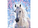 Diamantová výšivka Mozaikový obraz WHITE STORM Horse 30x4