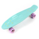 METEOR SKATEBOARD PLASTIC FISK, mint