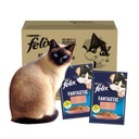 Felix Fantastic Fish food 48x85g