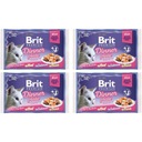 Brit Premium Cat želé filetový tanier 16x85g