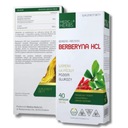 Medica Berberine HCL DIABETES cholesterol silný pečeň cholesterol cukor