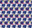 Red Bull energetický nápoj 250ml 48 ks