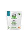 BRIT CARE GRAIN FREE DOSPELÝ VEĽKÝ LOSOS 1kg