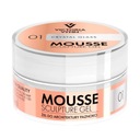 VICTORIA VYNN MOUSSE GEL 01 KRYŠTÁLOVÉ SKLO 15ML