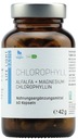 FLUCERNE CHLOROFYL NON-GMO VEGAN 60K