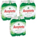 Muszynianka Minerálna voda nízkosýtená 18x1,5l