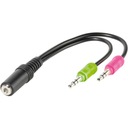 Adaptér/kábel Jack 3,5 mm 4-pólová zásuvka - 2 x Jack 3,5 mm stereo zástrčky