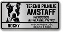 Nebezpečný pes Amstaff tanier